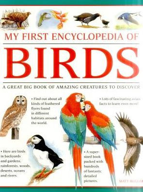 My First Encylopedia of Birds: A First Encyclopedia With Supersize Pictures