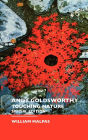 Andy Goldsworthy: Touching Nature: Special Edition