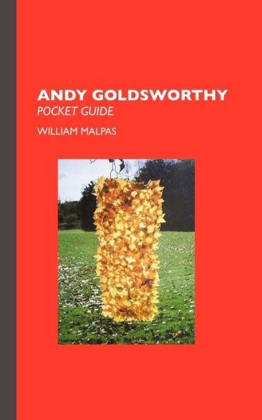 Andy Goldsworthy: Pocket Guide