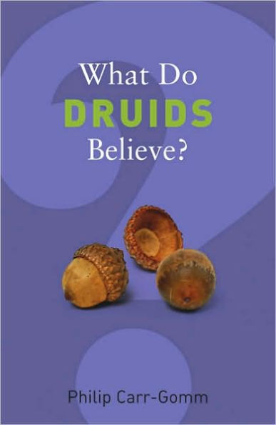 What do Druids Believe?