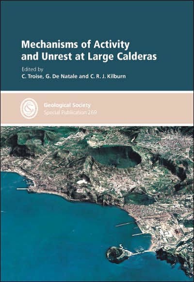 Mechanisms of Activity and Unrest at Large Calderas