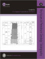 Key Issues in Petroleum Geology: Stratigraphy