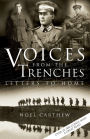 Voice from the Trenches