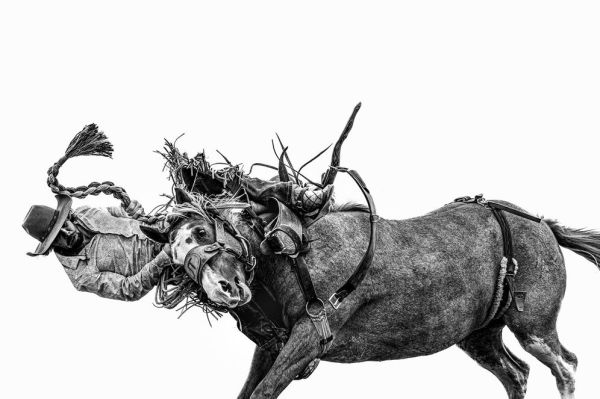 Frontier: Cowboys of the Americas by Anouk Masson Krantz