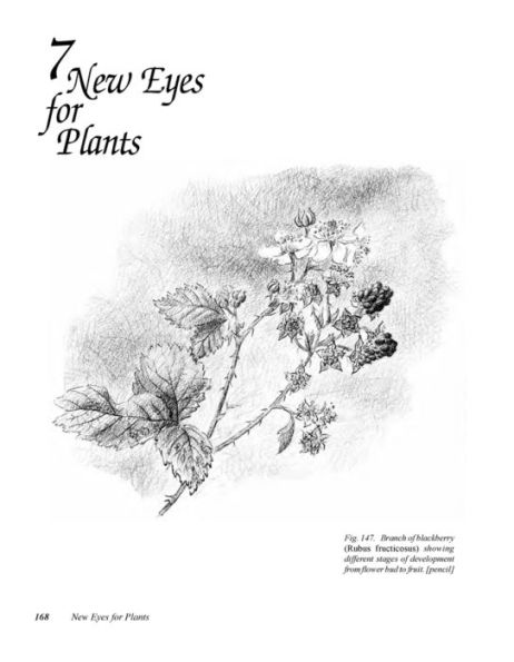 New Eyes for Plants: Workbook for Plant Observation and Drawing