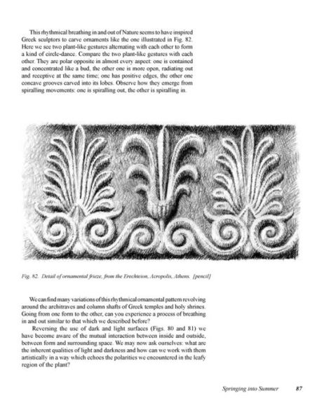 New Eyes for Plants: Workbook for Plant Observation and Drawing