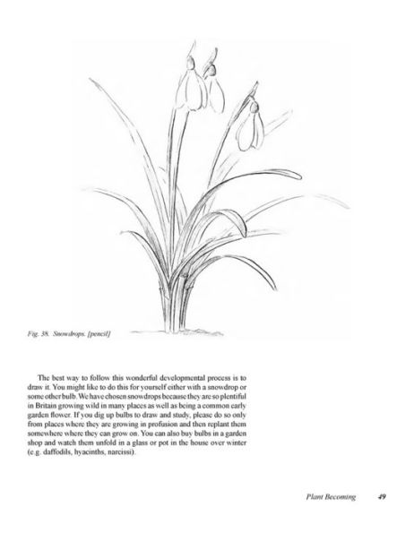 New Eyes for Plants: Workbook for Plant Observation and Drawing