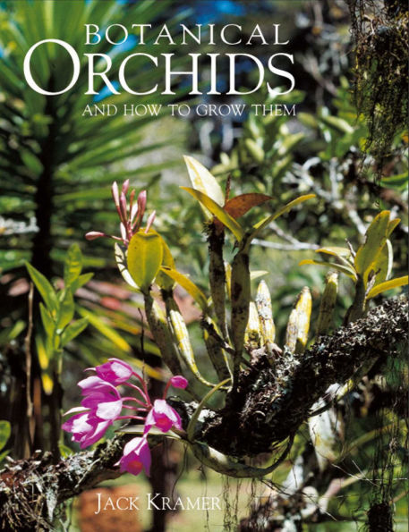 Botanical Orchids