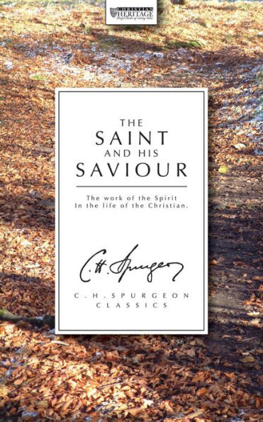 The Saint And His Saviour: The work of the Spirit in the life of the Christian