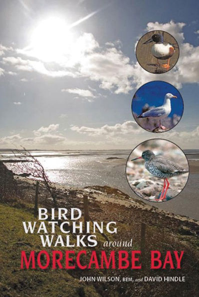 Birdwatching Walks around Morecambe Bay