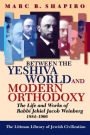 Between the Yeshiva World and Modern Orthodoxy: The Life and Works of Rabbi Jehiel Jacob Weinberg, 1884-1966