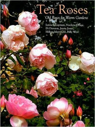 Title: Tea Roses: Old Roses for Warm Gardens, Author: Lynne Chapman