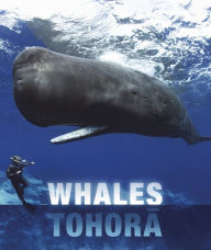 Title: Whales and Dolphins of Aotearoa New Zealand, Author: Barbara Todd