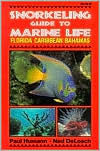 Title: Snorkeling Guide to Marine Life: Florida, Caribbean, Bahamas, Author: Paul Humann