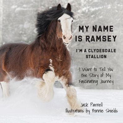 My Name is Ramsey: I'm a Clydesdale Stallion