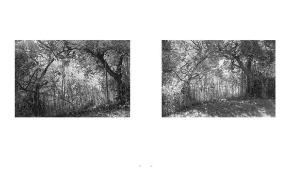 Robert Adams: Standing Still