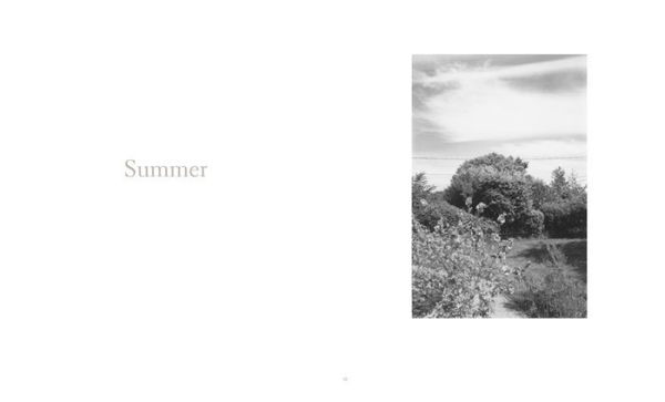 Robert Adams: Standing Still