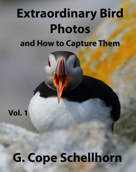 Extraordinary Bird Photos and How to Capture Them Vol. 1