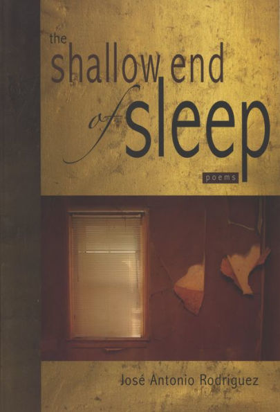 The Shallow End of Sleep: Poems