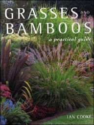 Title: Grasses and Bamboos: A Practical Guide, Author: Ian Cooke