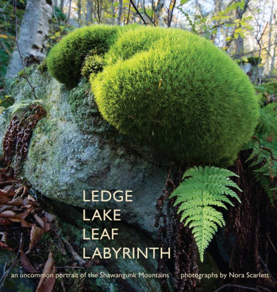 Ledge Lake Leaf Labyrinth: an uncommon portrait of the Shawangunk Mountains