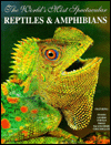 Title: World's Most Spectacular Reptiles and Amphibians, Author: William W. Lamar