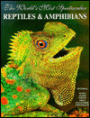 World's Most Spectacular Reptiles and Amphibians