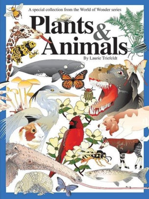 Plants and Animals by Laurie Triefeldt, Hardcover | Barnes & Noble®