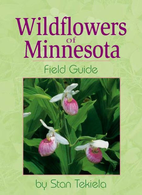 Wildflowers Of Minnesota Field Guide By Stan Tekiela