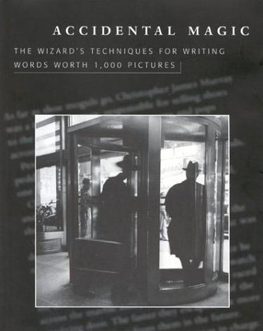 Accidental Magic: The Wizard's Techniques for Writing Words Worth 1,000 Pictures