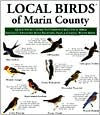 Title: Local Birds of Marin County: Pocket Size, Author: Local Birds