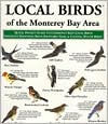 Title: Local Birds of the Monterey Penninsula: Pocket Size, Author: Local Birds