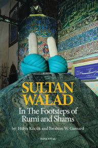 Download free ebooks for kindle fire Sultan Walad: In the Footsteps of Rumi and Shams