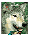 Title: Wolves (Zoobooks Series), Author: John Bonnett Wexo