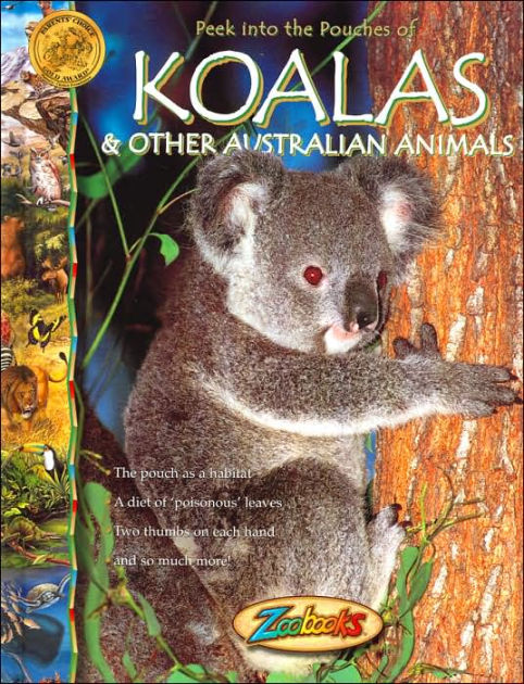 Koalas & Other Australian Animals (Zoobooks Series) by John Bonnett ...