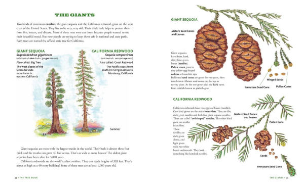 The Tree Book for Kids and Their Grown-Ups