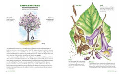 Alternative view 5 of The Tree Book for Kids and Their Grown-Ups