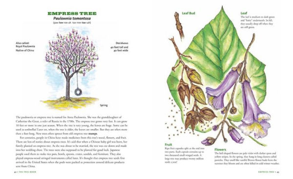 The Tree Book for Kids and Their Grown-Ups