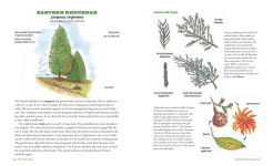 Alternative view 7 of The Tree Book for Kids and Their Grown-Ups