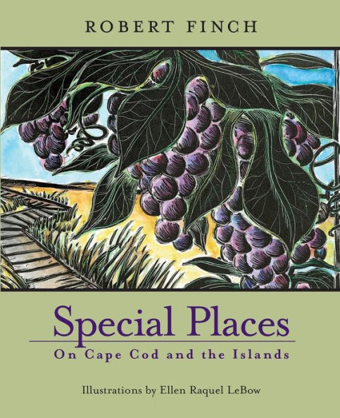 Special Places on Cape Cod & Islands