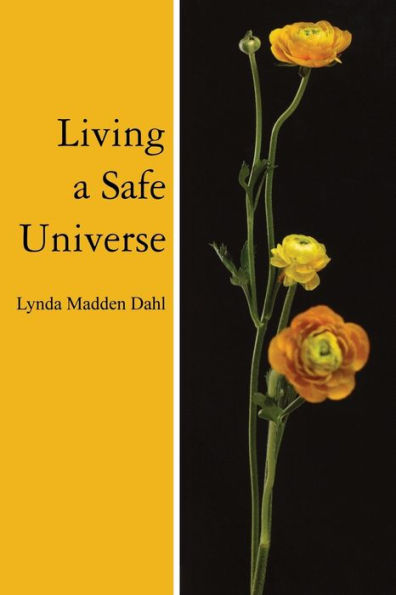 Living A Safe Universe: Book for Seth Readers