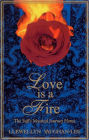 Love Is a Fire: The Sufi's Mystical Journey Home