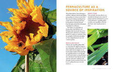 Alternative view 4 of Container Gardening - The Permaculture Way: Sustainably Grow Vegetables and More in Your Small Space