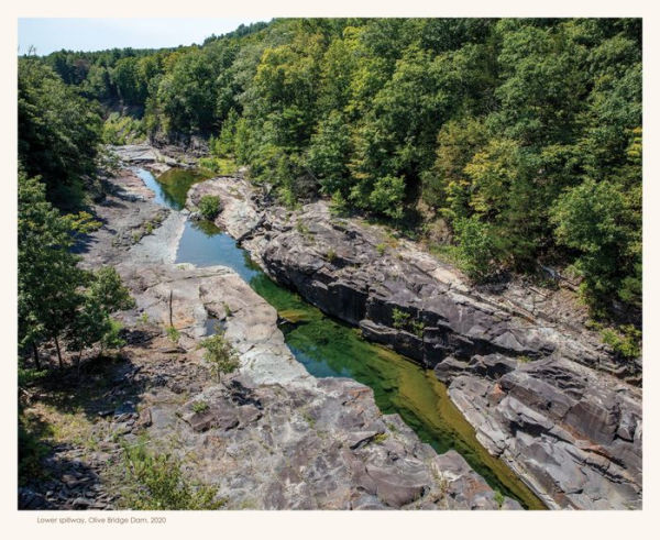 Nineteen Reservoirs: On Their Creation and the Promise of Water for New York City