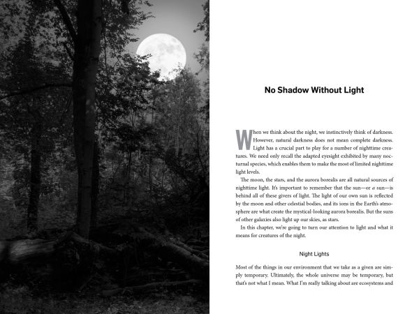 Living Night: On the Secret Wonders of Wildlife After Dark