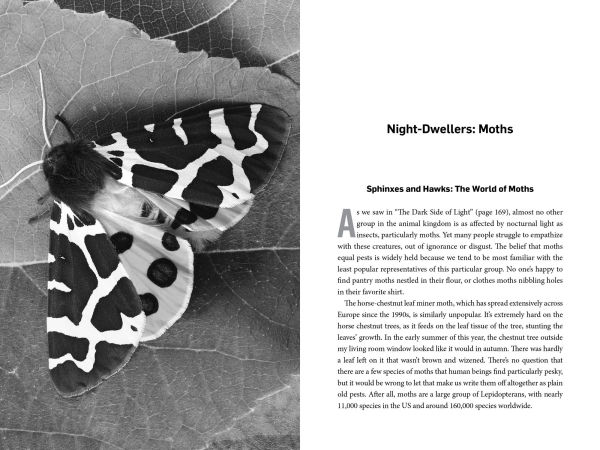 Living Night: On the Secret Wonders of Wildlife After Dark