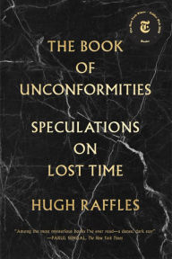 English textbook download free The Book of Unconformities: Speculations on Lost Time DJVU MOBI RTF in English 9781891241734 by Hugh Raffles