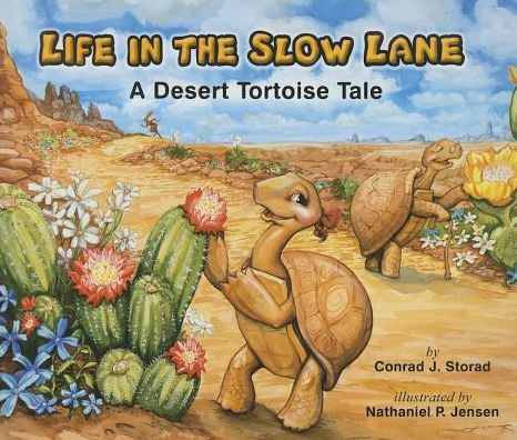 Life Slow Lane, A Desert Tortoise Tale