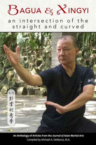 Bagua and Xingyi: An Intersection of the Straight and?Curved