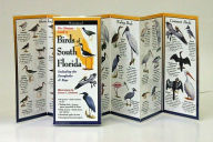 Title: Birds of South Florida, Author: B. POSTMUS